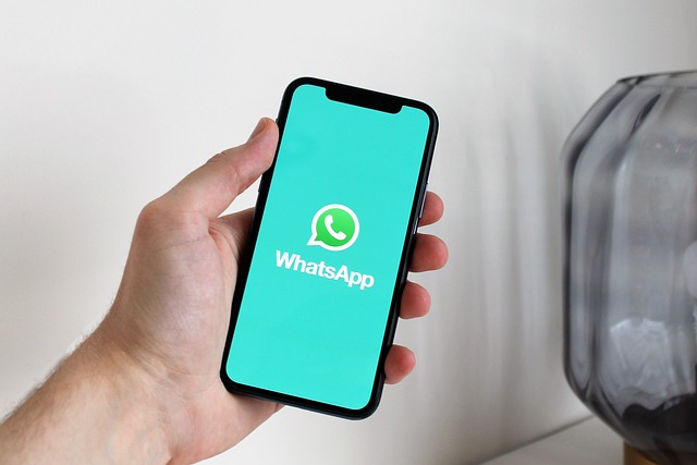 Arnaques sur WhatsApp : Meta supprime 7 millions de comptes